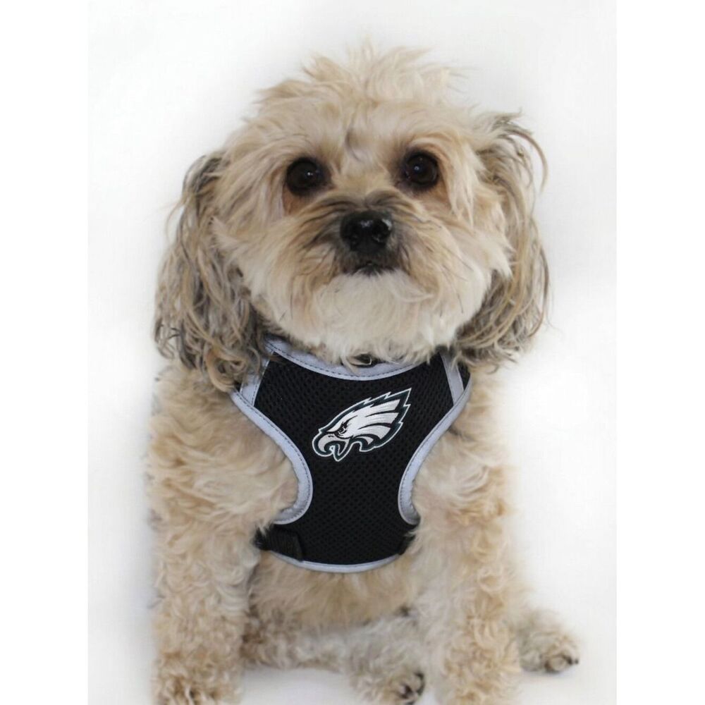 NFL Reflective Harness Vest - Philadelphia Eagles - SZ S fits 13 - 18" chest